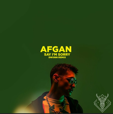 makna-lagu-say-im-sorry-afgan