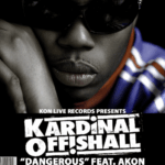 makna-lagu-dangerous-akon